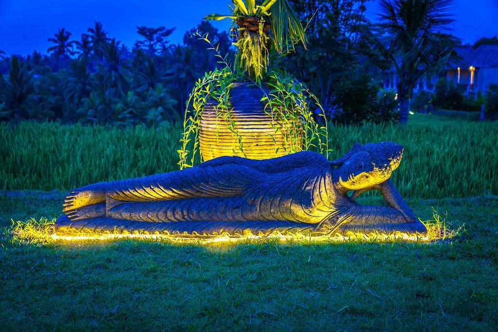 B Saya Villas Ubud Dış mekan fotoğraf