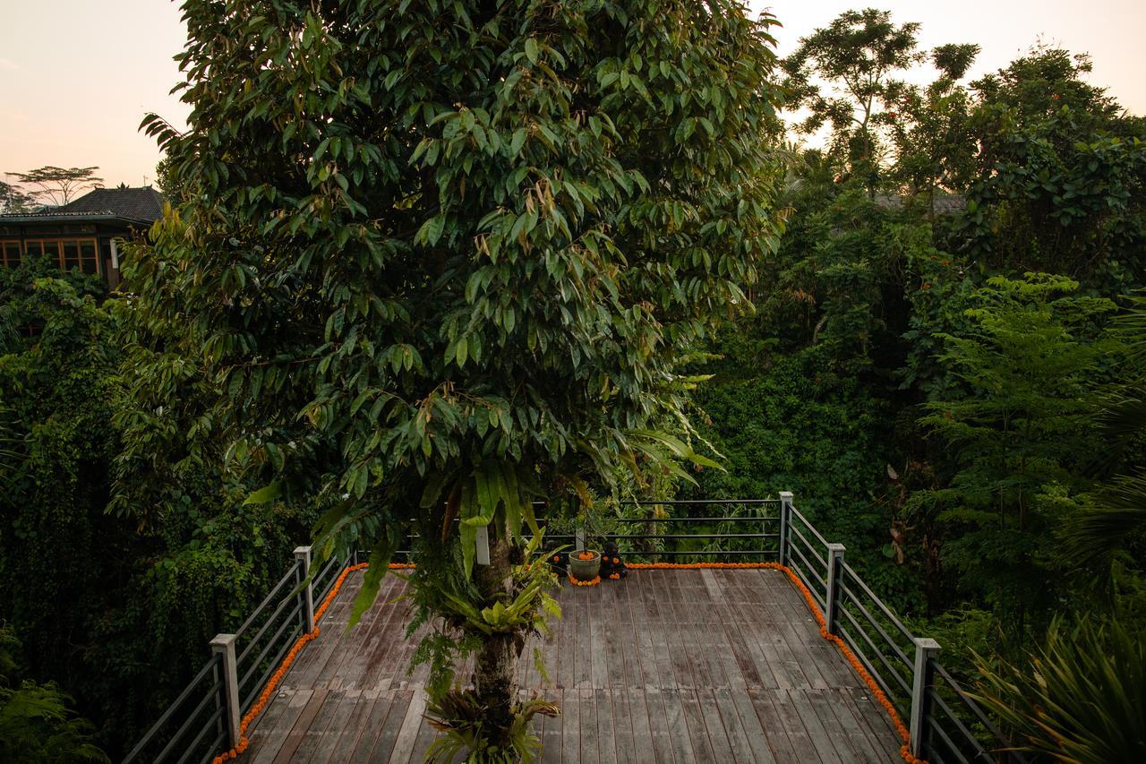 B Saya Villas Ubud Dış mekan fotoğraf